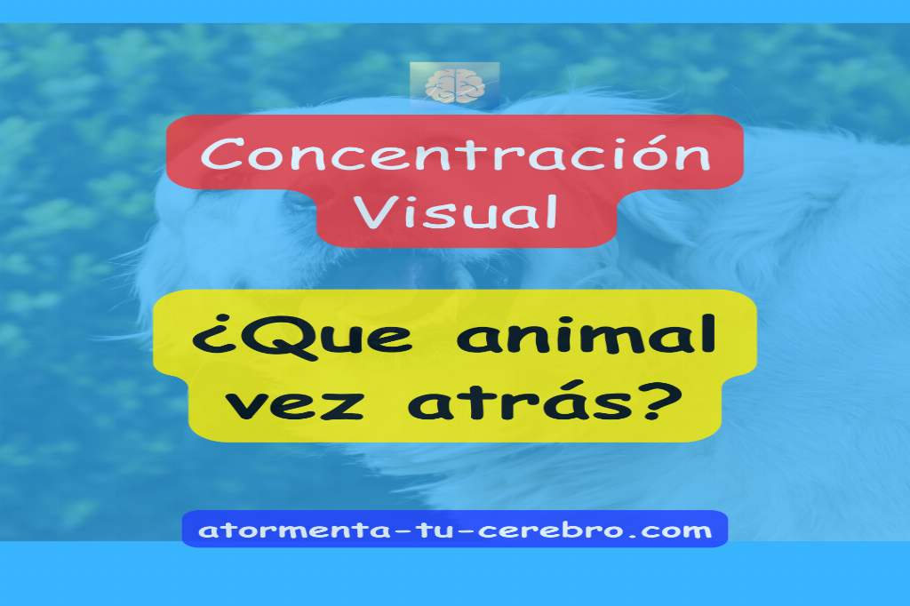 Acertijo visual: Que animal vez ?